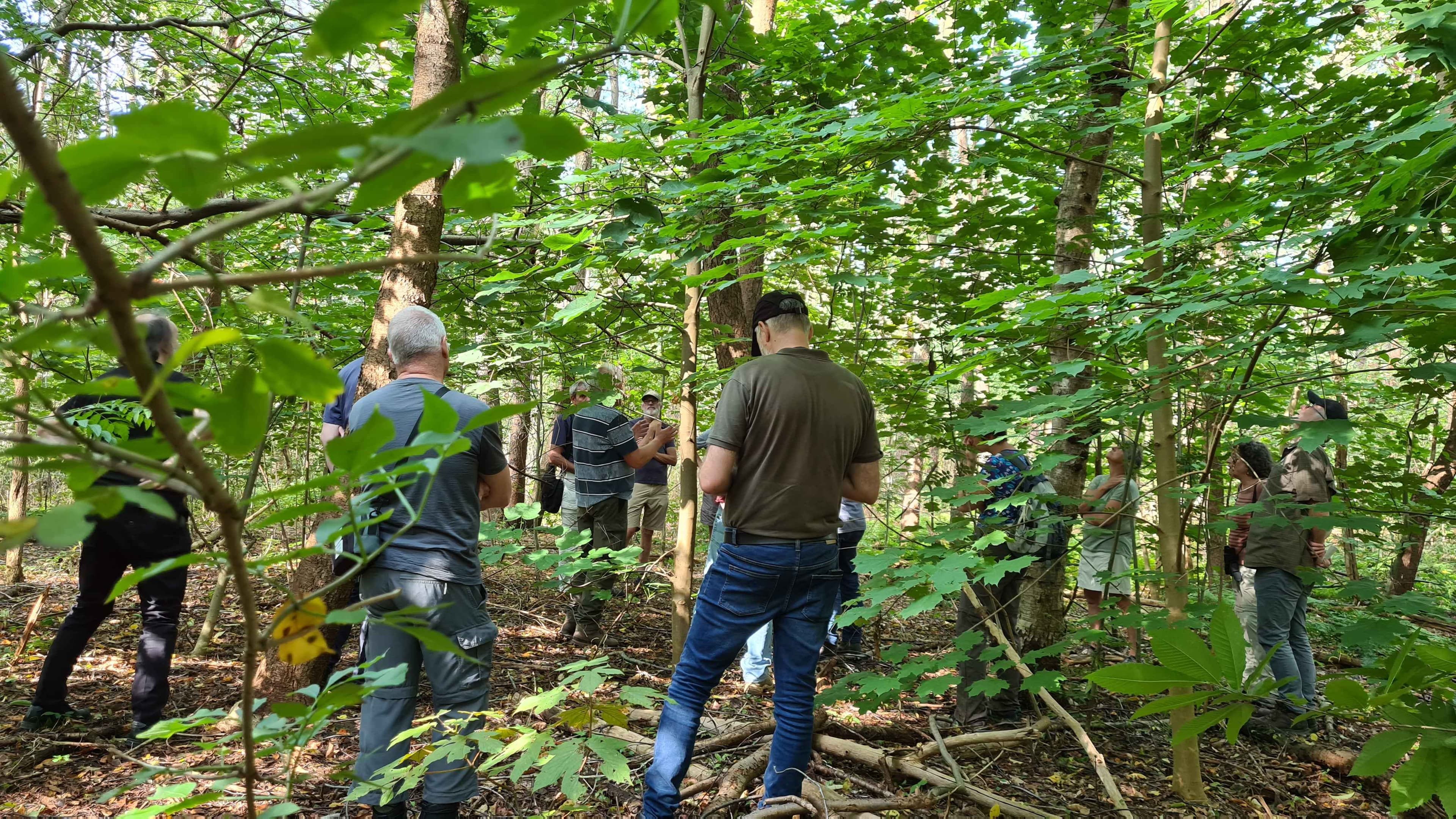Van nieuwkomer naar redding?