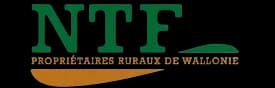 NTF logo