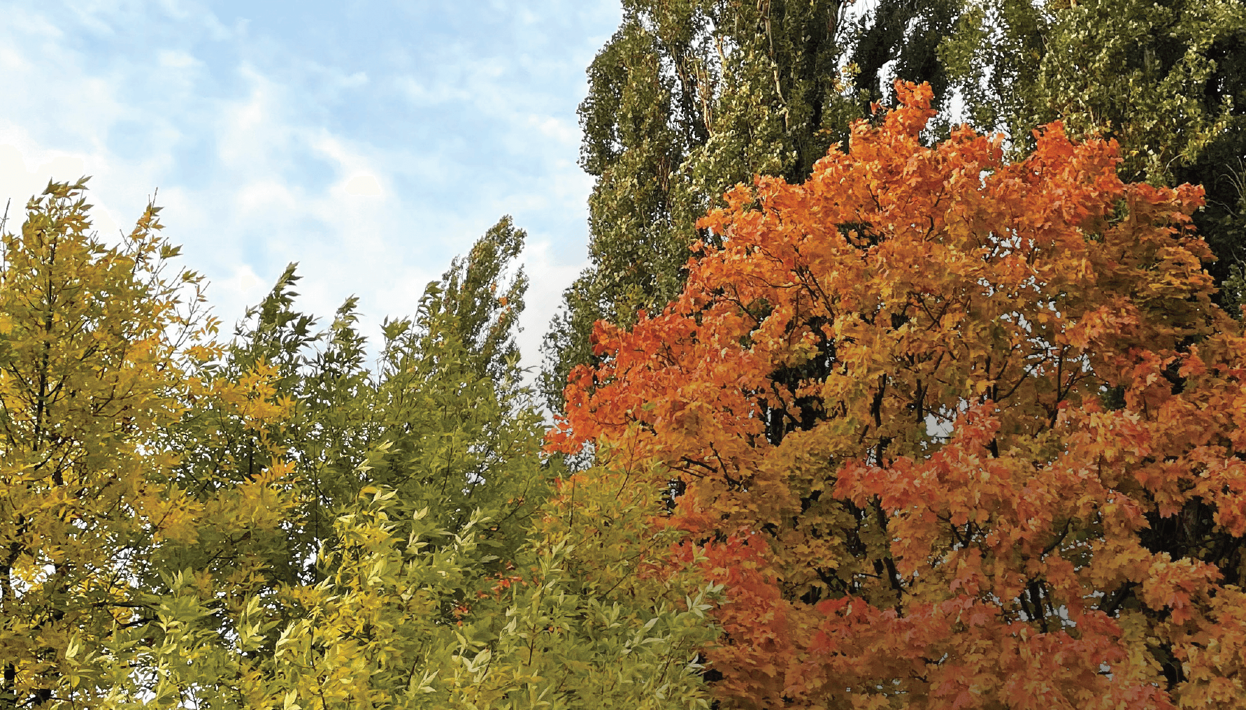 Natuurkredieten: een nieuw verdienmodel voor Vlaamse landeigenaars